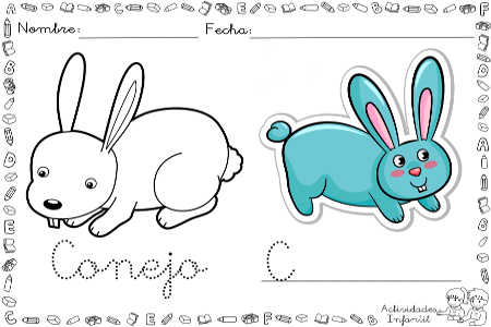 Conejo para colorear