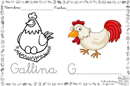 Gallina para colorear