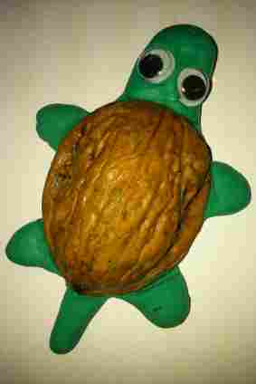 tortuga plastilina