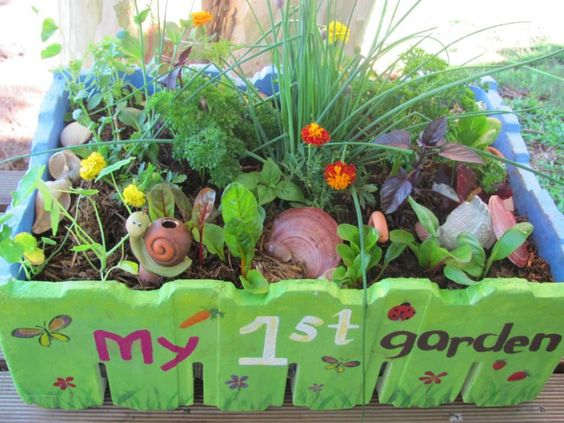 Un jardín casero