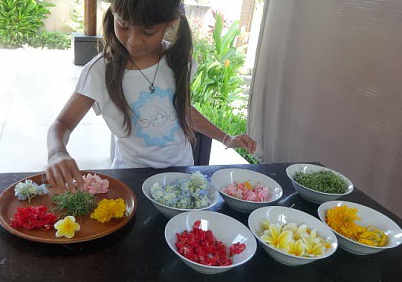 clasificando flores