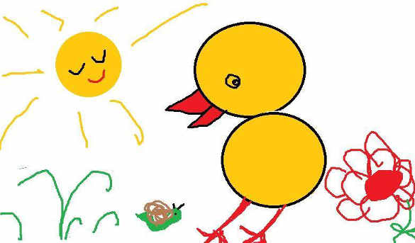 pollito