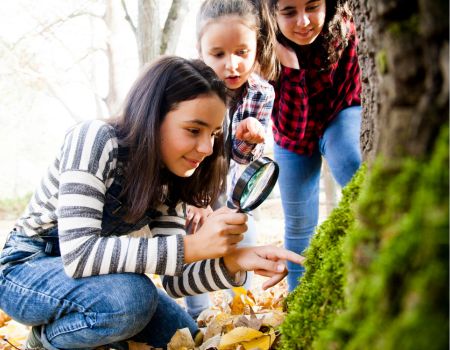guía para el rincón de la naturaleza